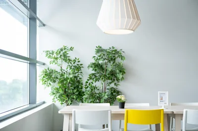 Payer en plusieurs fois chez Ikea : guide complet 2026 des solutions