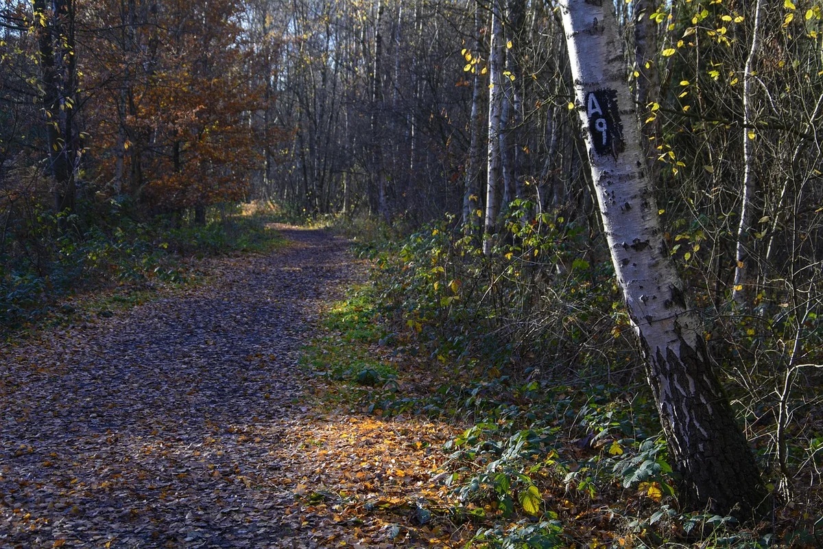 Maîtriser le temps et l'attention, la ressource ultime